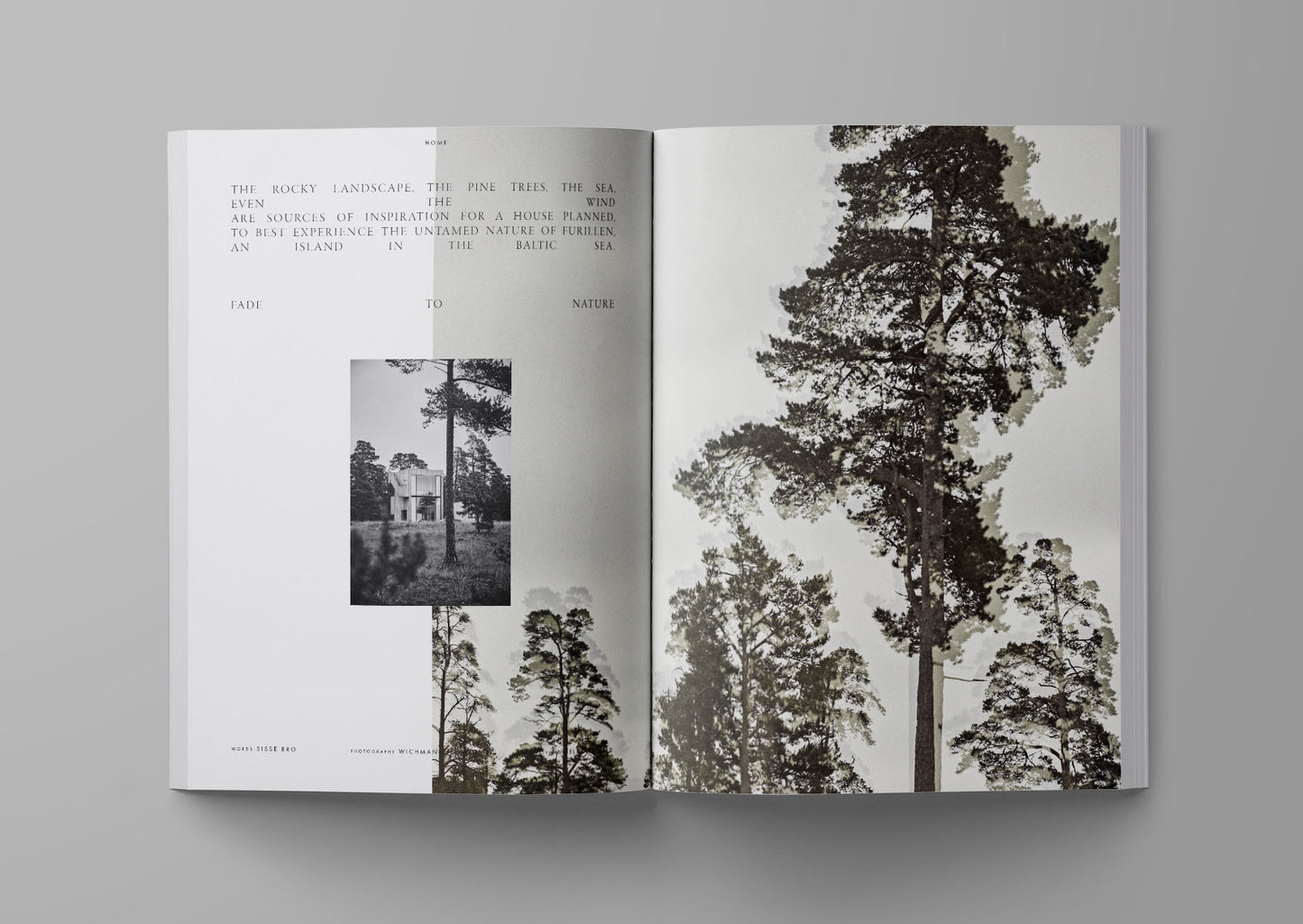Ark Journal Vol. 11