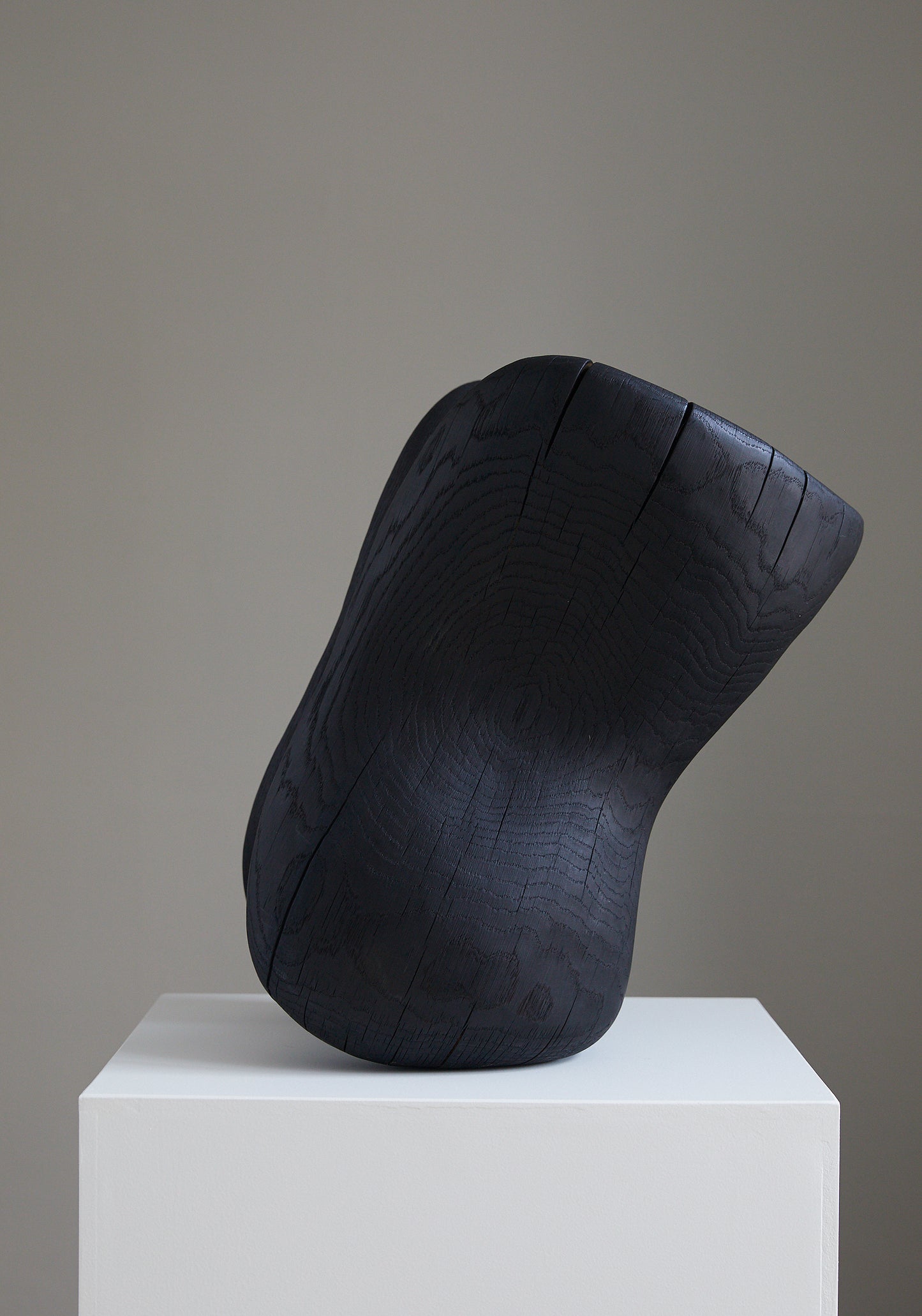 Løvfall skulptur, Brent sørlands eik torso