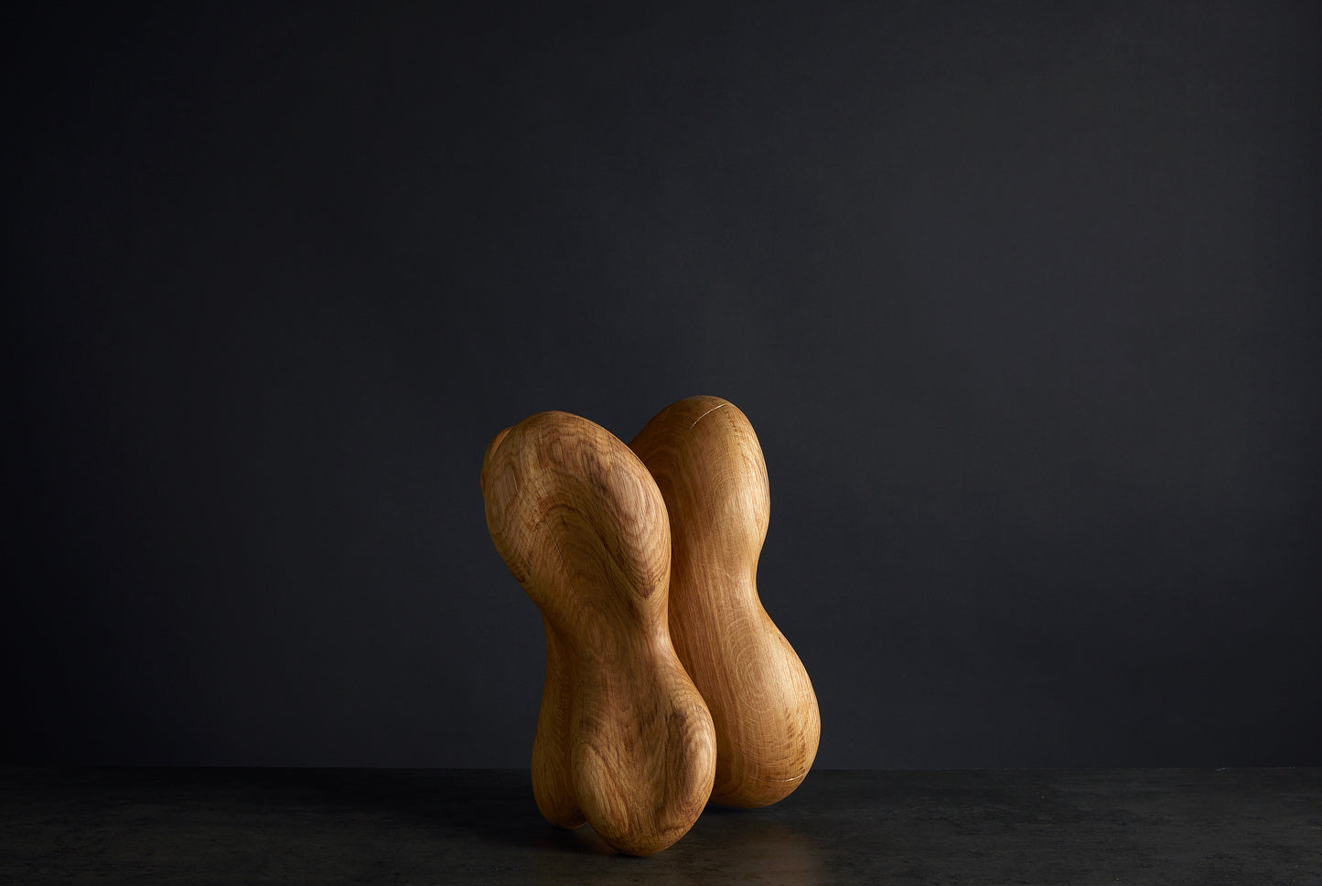 Løvfall skulptur, Sørlands eik torso