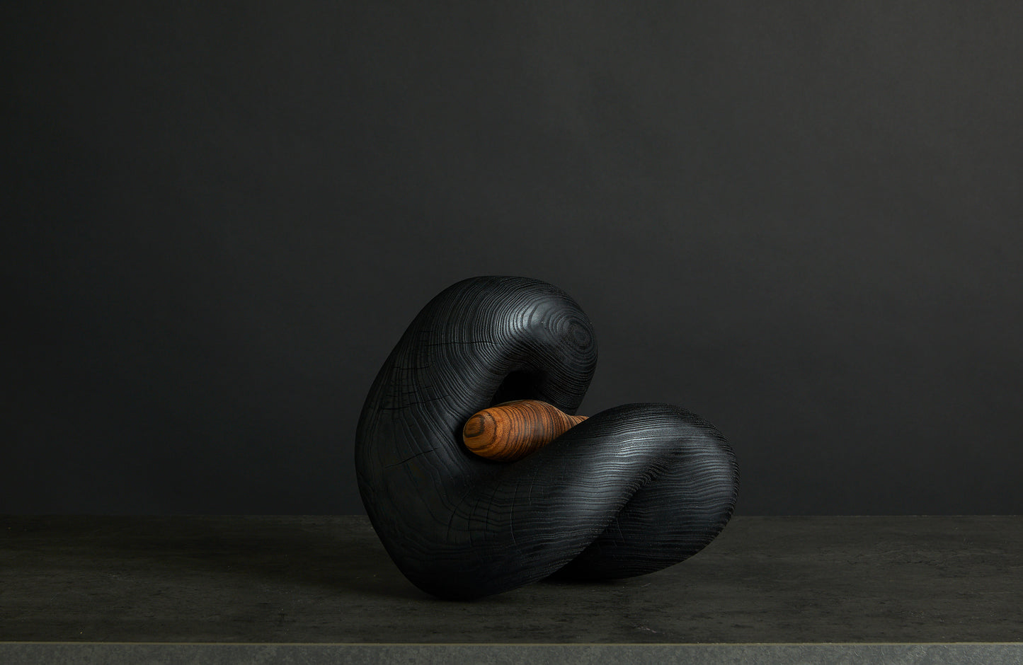 Løvfall skulptur, Brent eik med zebra wood