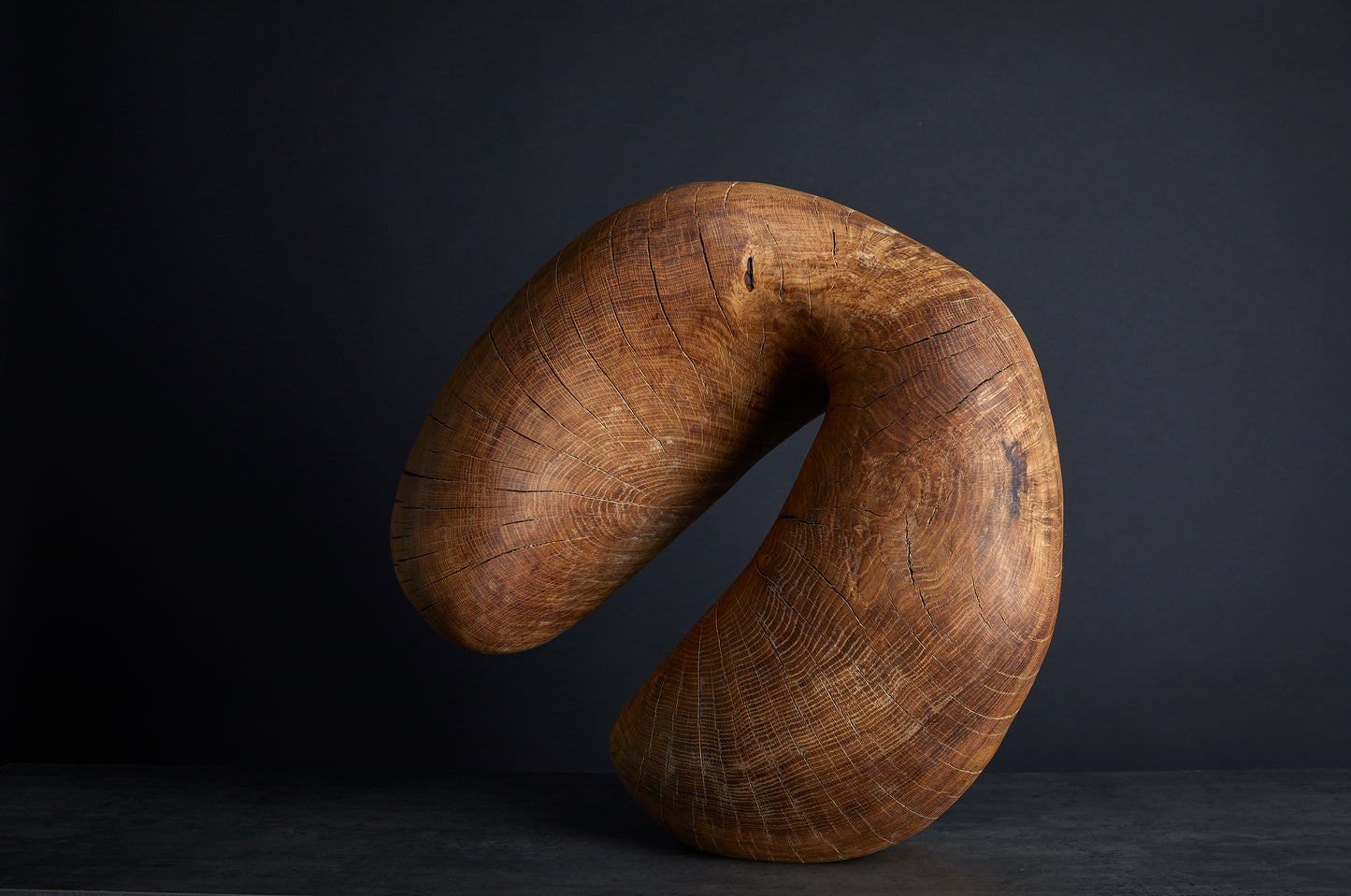 Løvfall skulptur, AW23/1