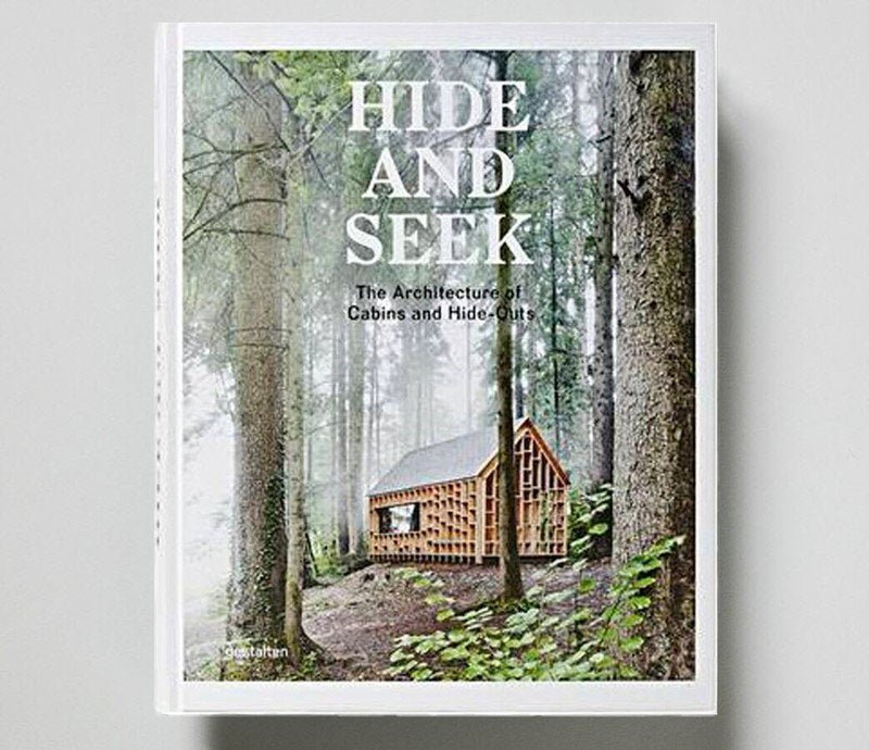 Hide and Seek