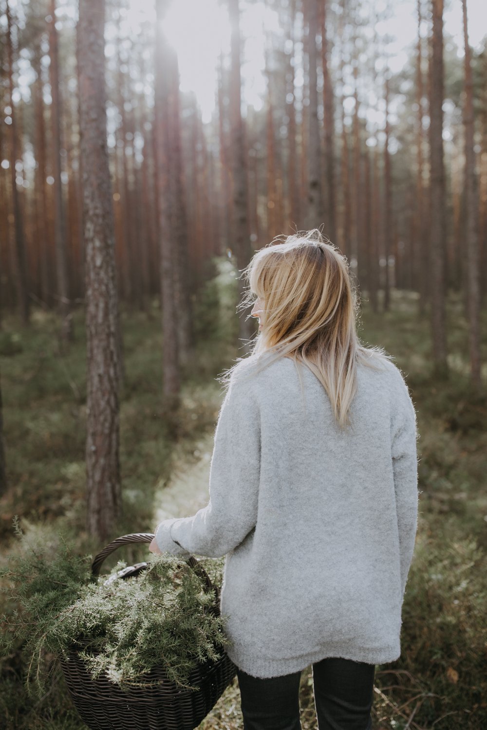 Soyalys, Lyng/Heather 515ml, duftlys