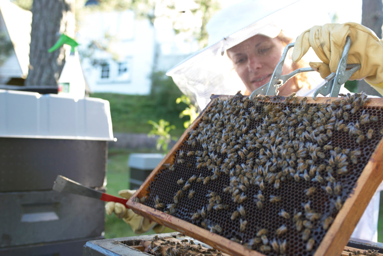 Honning fra Vår egen hage og bier