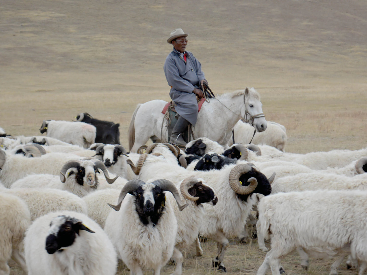 Aiayu "Trisha sweater – pure sartuul" Pure Soil