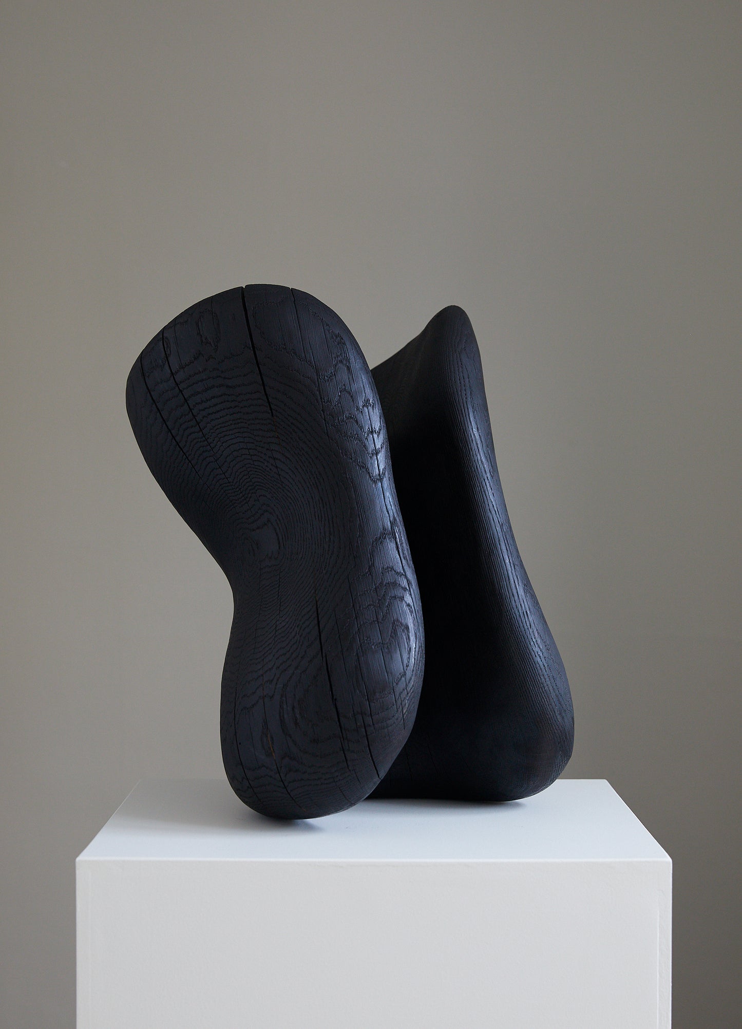 Løvfall skulptur, Brent sørlands eik torso